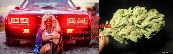 экстази Богданович