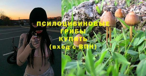 экстази Богданович