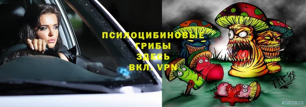 мдпв Богородск