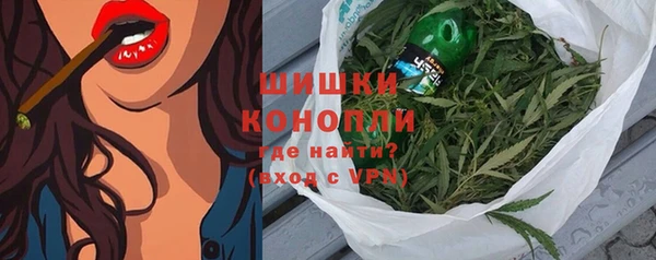 мдпв Богородск