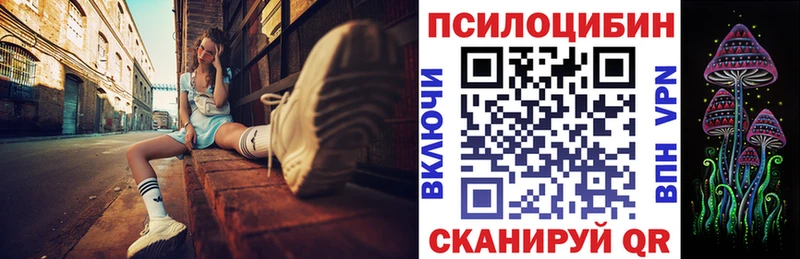Галлюциногенные грибы Psilocybine cubensis  Комсомольск-на-Амуре 